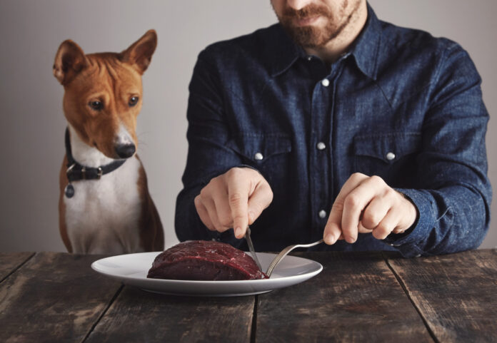Cât de Importantă Este Hrana Uscată pentru Câini: Beneficiile Nutriției Crochetable
