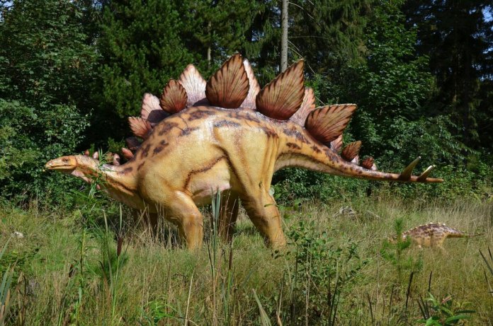 Urme de dinozauri, datând de mai bine de 200 de milioane de ani, găsite pe o stâncă din Italia.