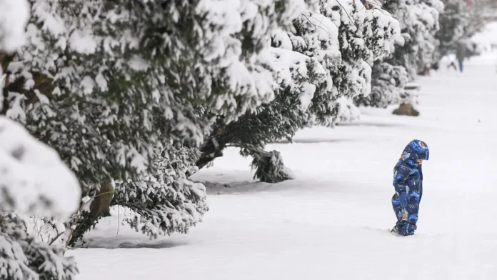 Impactul Codului Portocaliu: Restricții de trafic, daune la rețeaua electrică și zboruri influențate Impactul Codului Portocaliu: Restricții de trafic, daune la rețeaua electrică și zboruri influențate