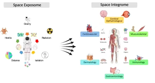 Viața pe Lună: dificultățile neselectate ale viitoarelor misiuni spațiale Viața pe Lună: dificultățile neselectate ale viitoarelor misiuni spațiale
